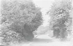 Winding: Scenic Path at Box Hill