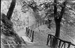 Rustic: Scenic Pathway at Racks Close