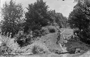 Bushes: Scenic Pathway in Wareham