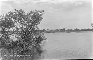 Sailboat: Scenic View of Barton Broad