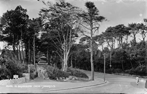 Chine: Scenic View of Branksome Chine