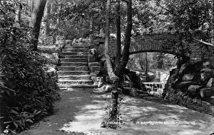 Chine: Scenic View of Branksome Chine