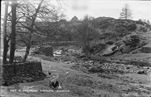 Chickens: Scenic View at Darnholme
