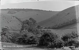 Cows: Scenic View of Devil's Dyke