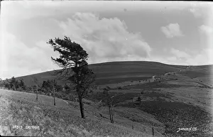 Exmoor: Scenic View of Exmoor