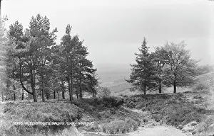 Moor: Scenic View of Haldon Moor
