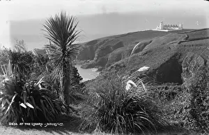 Grasses: Scenic View at The Lizard