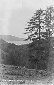 Bute: Scenic View of Loch Meilfort