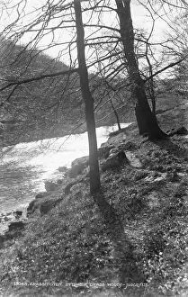 Grassington: Scenic View of Lower Grass Wood
