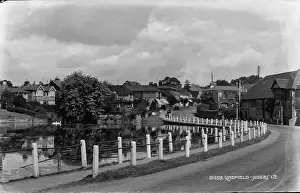 Swans: Scenic View of Lyndfield
