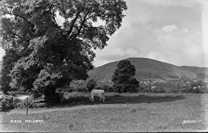 Malvern: Scenic View of Malvern Hills