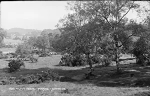 Milton: Scenic View of Milton Heath