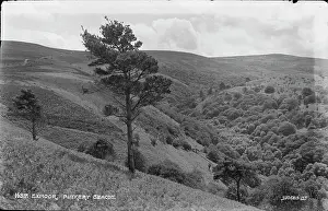 Beacon: Scenic View of Punkery Beacon