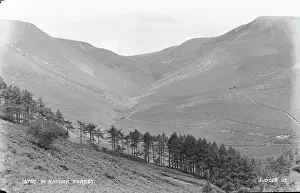 Powys: Scenic View of Radnor Forest