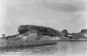 Reeds: Scenic View of Redcliffe, Wareham
