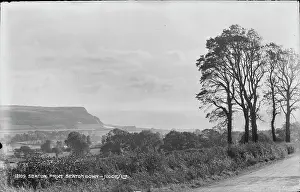 Seaton: Scenic View from Seaton Down