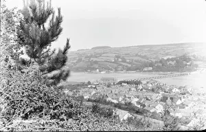 Rooftops: Scenic View of Shaldon