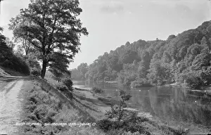 Arundel: Scenic View of Shanbourne Lake