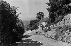 Shaftesbury: Scenic View of Tout Hill