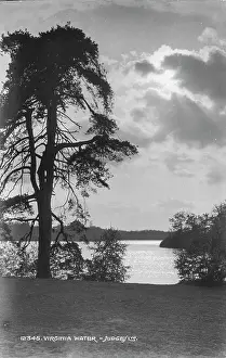 Judges: Scenic View of Virginia Water