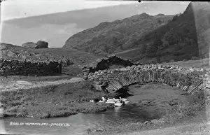 Ducks: Scenic View at Watendlath