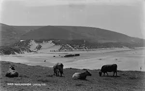 Cows: Scenic View of Woolacombe Beach