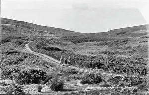 Moor: Scenic Walk on Kirby Moor