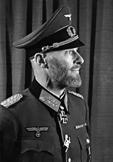 Scherer: Scherer