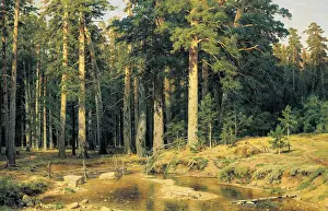Iwan: Schischkin, Ivan Ivanovich (1832-1898). Mast-Tree