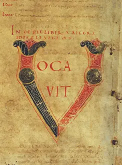 Bibles: Detail from the Schlierbacher Giant Bible. Initial V on?