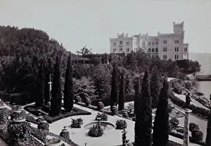 Cypresses: Schloss Miramar