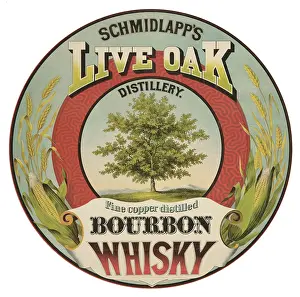 Distillation: Schmidlapp's live oak distillery - bourbon whisky