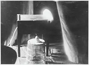 Psychokinesis: SCHNEIDER HANDKERCHIEF