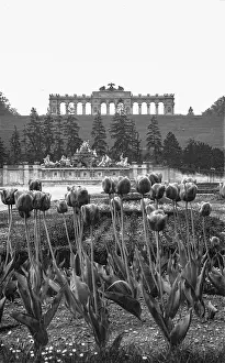 Schonbrunn: Schonbrunn Palace park