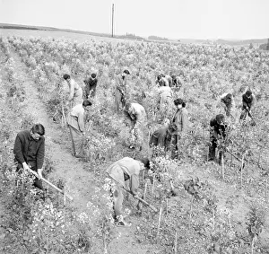 Lomoz: School of Agriculture - students
