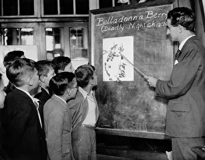 Blackboards: School children learning