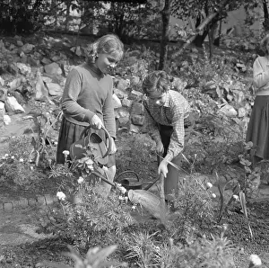 Finda: School children - plant watering