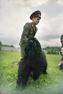 Cadet: School of dog breeding specialists of Defense
