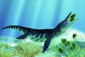 Plesiosaur: A school of lemonpeel angelfish try to get away