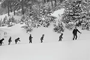 Skis: School Physical Education