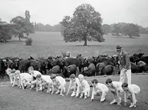 Gazed: School sports day