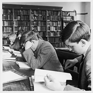 Revising: Schoolboys studying in school library
