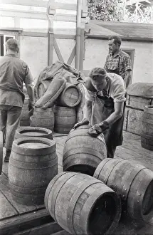 Schwechat: Schwechater beer