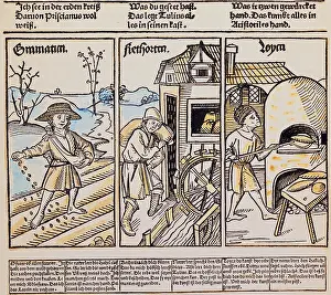Handcraft: science, allegories, grammar as sower, rhetrorics