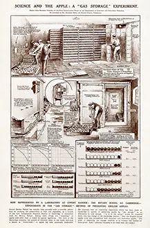 Convent: Science and the Apple: Gas Storage Experiment 1926