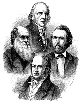 Darwinism: science, biology, primary representatives of