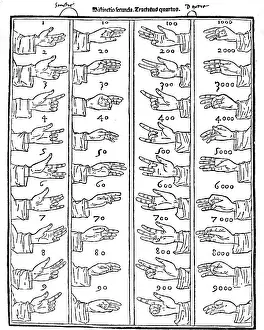 Luca: science, mathematics, calculating with finger