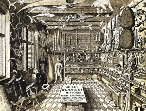Closet: science, museums, description of Museum Wormianum