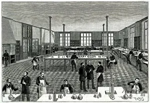 Institut: Science - Pasteur