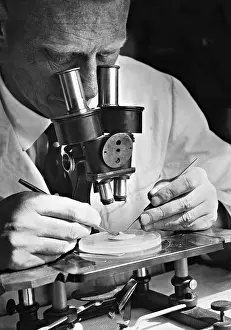 Develop: Scientist at the microscope